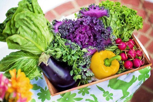 Benefícios dos legumes