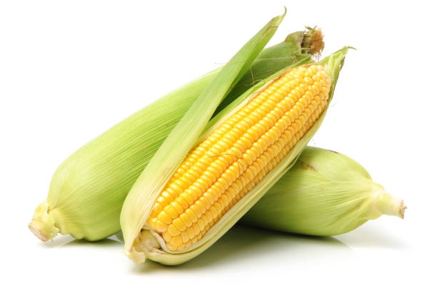 Os benefícios do milho e dicas de cultivo