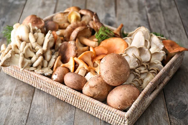Os segredos e benefícios dos cogumelos