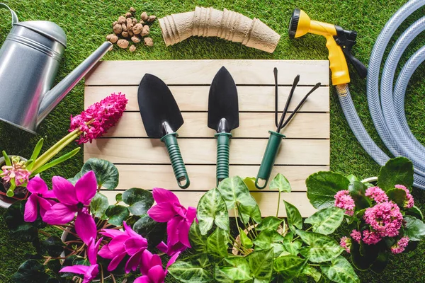 Jardinagem: Encontre as melhores ferramentas