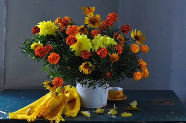 Arte e beleza em ramos caseiros em Plantas Arte e beleza em ramos caseiros