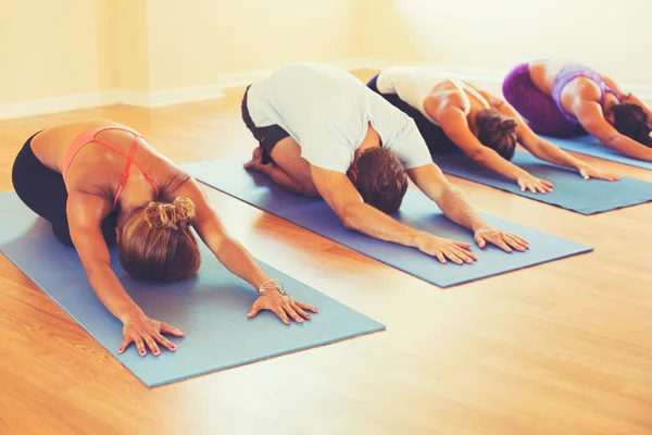 Yoga para iniciantes: poses fundamentais e os benefícios
