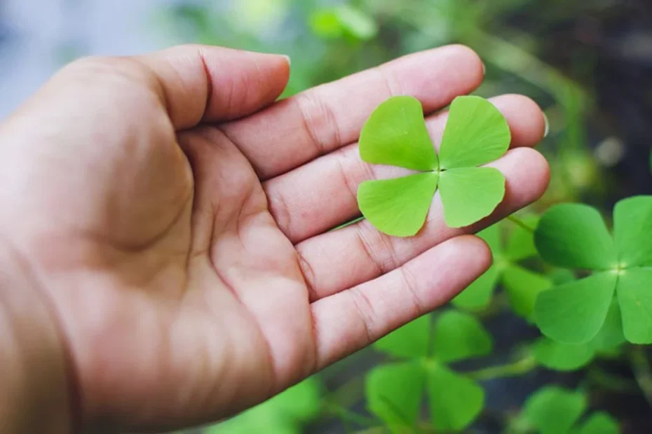 As Pessoas Podem Realmente Mudar ?